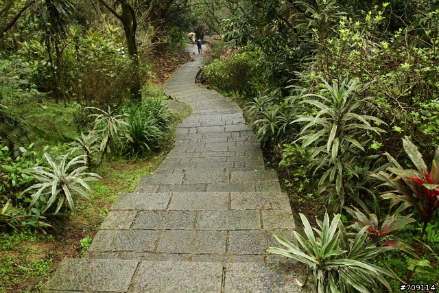 [ 郊山 ] 大尖山順走四分尾山之殘櫻行