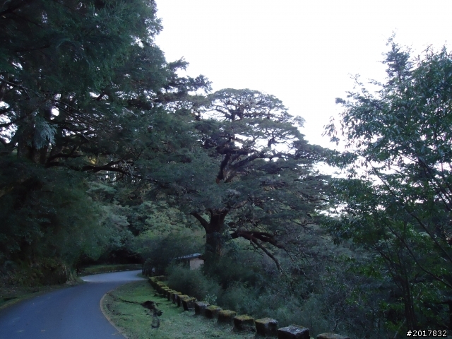2012-3-5~3-6台21線部落之旅(麟趾山-望美山)馬奴多斯獵人古道