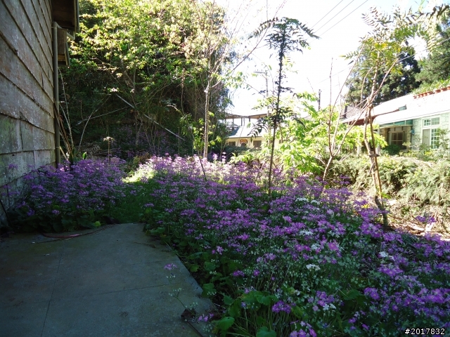 2012-3-5~3-6台21線部落之旅(麟趾山-望美山)馬奴多斯獵人古道