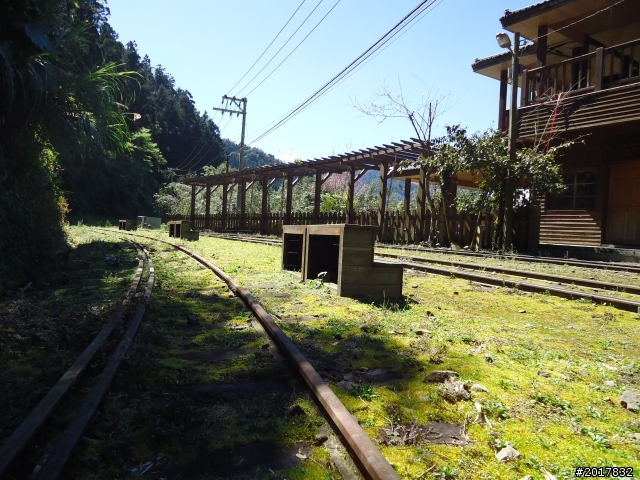 2012-3-5~3-6台21線部落之旅(麟趾山-望美山)馬奴多斯獵人古道