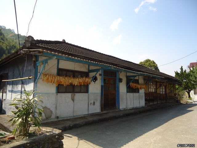 2012-3-5~3-6台21線部落之旅(麟趾山-望美山)馬奴多斯獵人古道