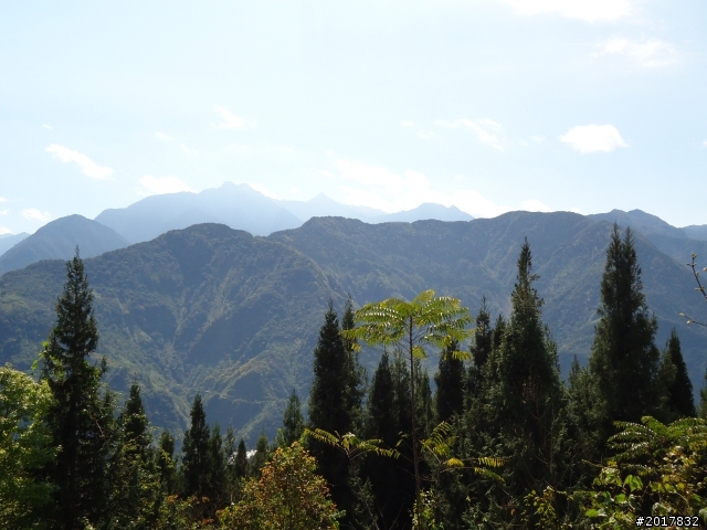 2012-3-5~3-6台21線部落之旅(麟趾山-望美山)馬奴多斯獵人古道
