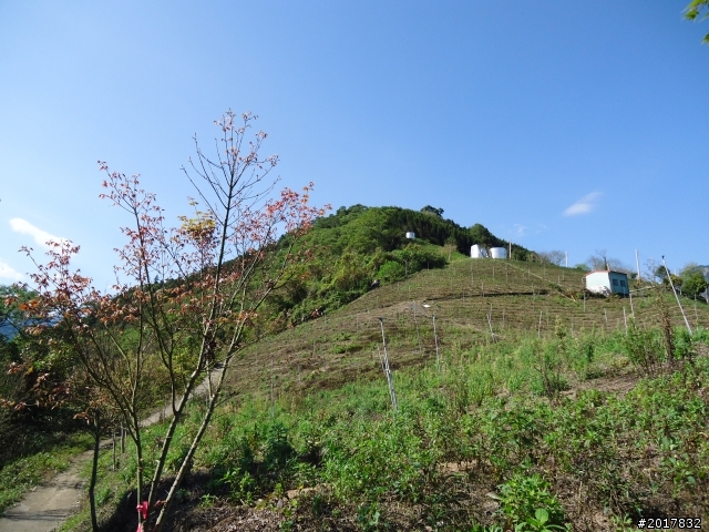2012-3-5~3-6台21線部落之旅(麟趾山-望美山)馬奴多斯獵人古道