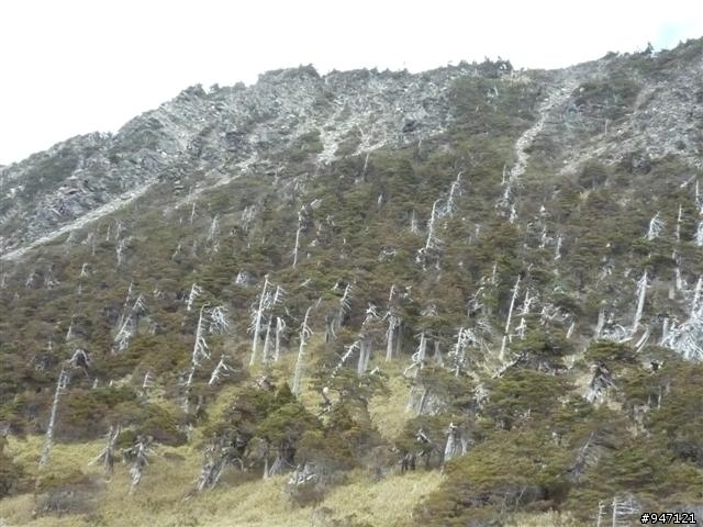 南湖大山第二集