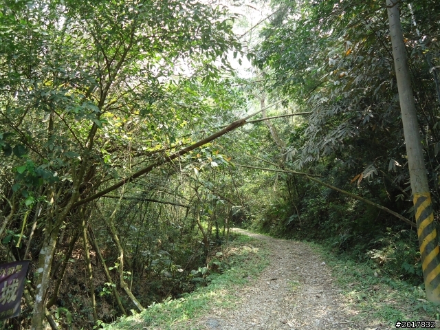 2012-3-16關仔嶺枕頭山