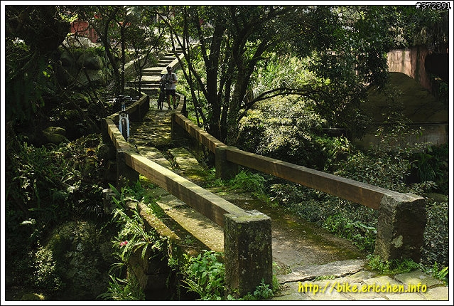 [Eric的單車日記] 紅櫻新綠 春山探秘 (天元宮滿開)