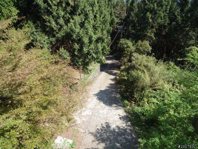 2012-3-5~3-6台21線部落之旅(麟趾山-望美山)馬奴多斯獵人古道