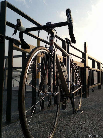 Lynskey Sportive 運動雞的來臨