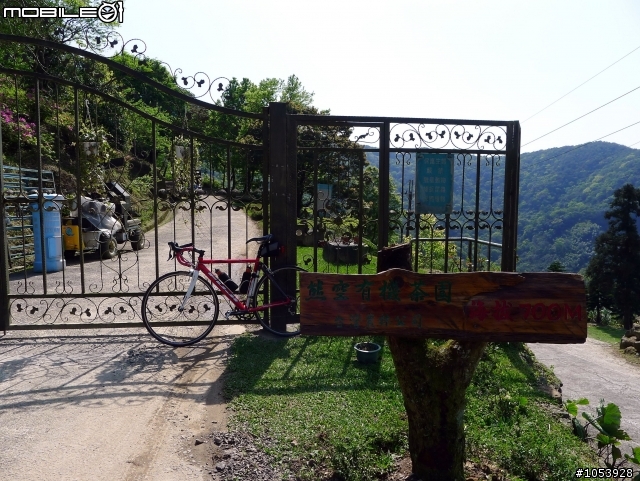 三峽熊空春遊記