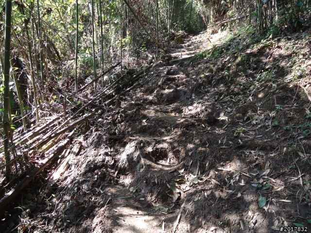 2012-3-5~3-6台21線部落之旅(麟趾山-望美山)馬奴多斯獵人古道