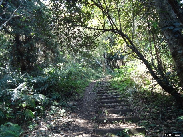 2012-3-5~3-6台21線部落之旅(麟趾山-望美山)馬奴多斯獵人古道