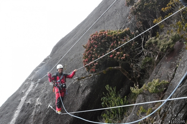 [神山-沙巴] 神山加碼極限攀岩Via Ferrata-Low's Peak Circuit 差點回不來了20120228
