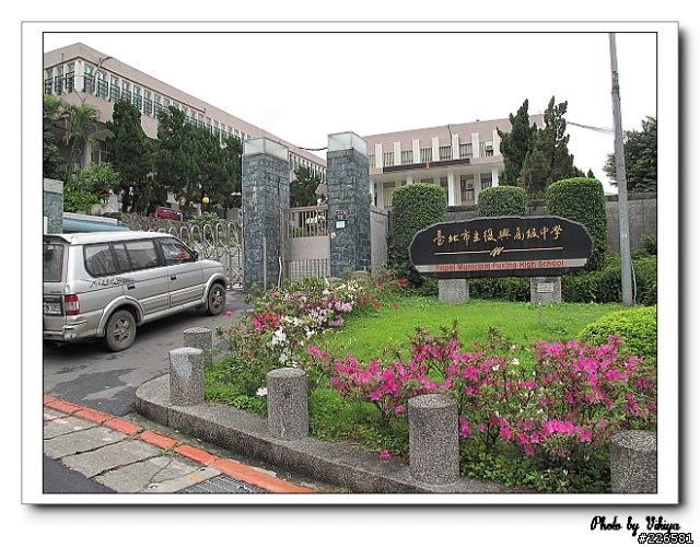 北投大屯里復興三路櫻花之旅...殘念