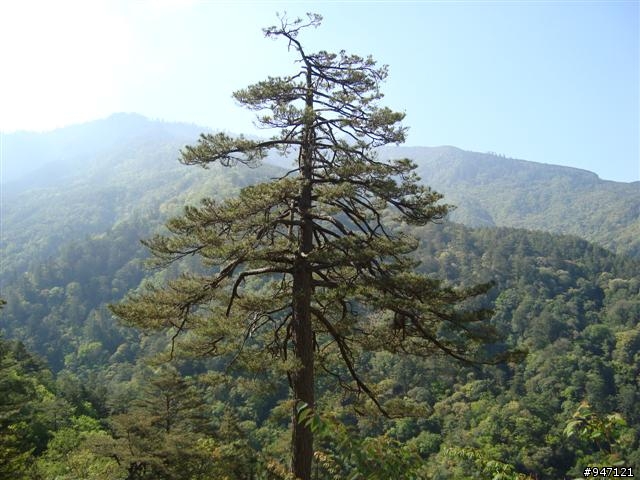 南湖大山第二集