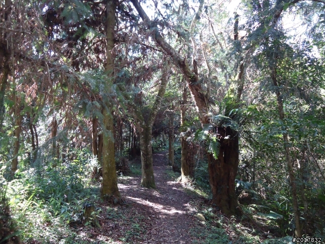 2012-3-5~3-6台21線部落之旅(麟趾山-望美山)馬奴多斯獵人古道