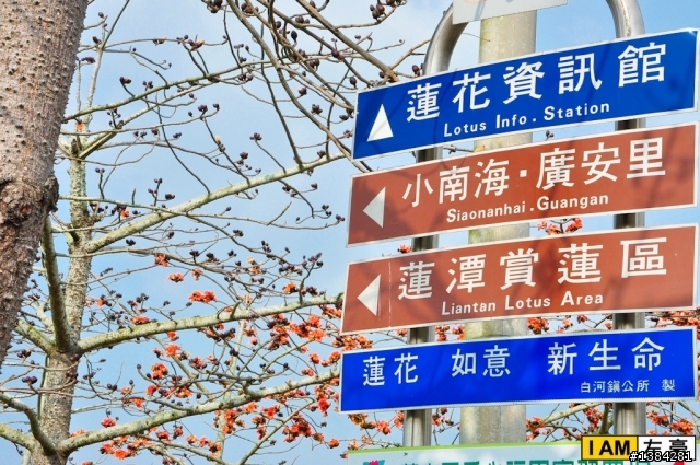 [景點] 台南。白河木棉鐵馬道
