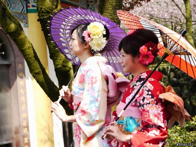 2012.03.15天元宮櫻花