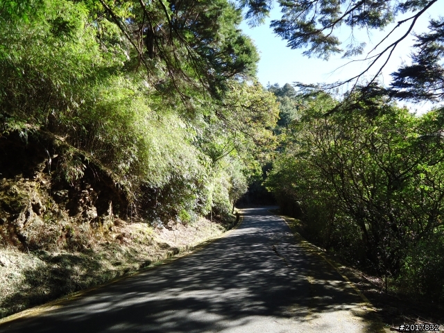 2012-3-5~3-6台21線部落之旅(麟趾山-望美山)馬奴多斯獵人古道