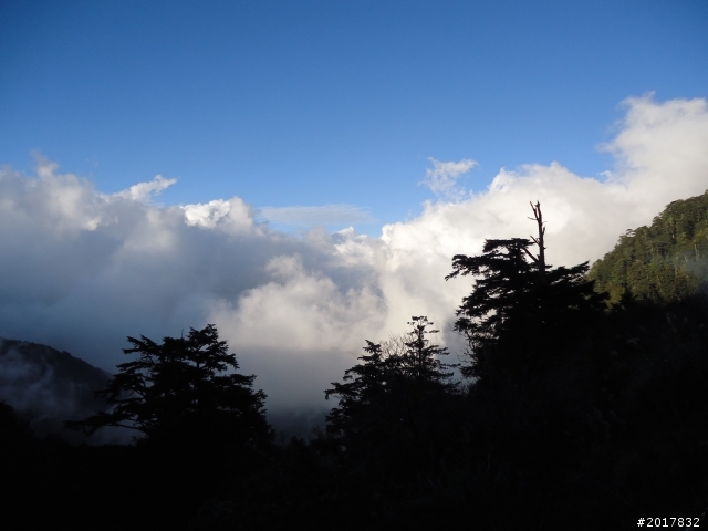 2012-3-5~3-6台21線部落之旅(麟趾山-望美山)馬奴多斯獵人古道