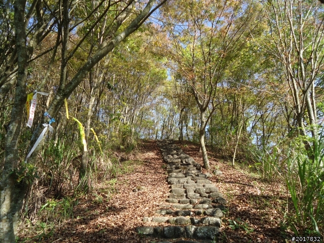 2012-3-5~3-6台21線部落之旅(麟趾山-望美山)馬奴多斯獵人古道