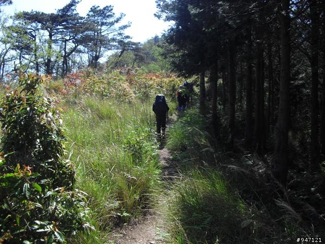 南湖大山第二集