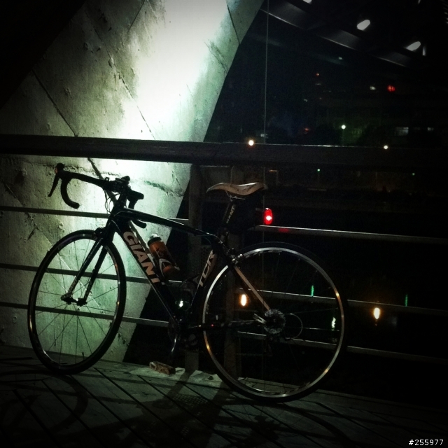 COLE C24 到手～～～