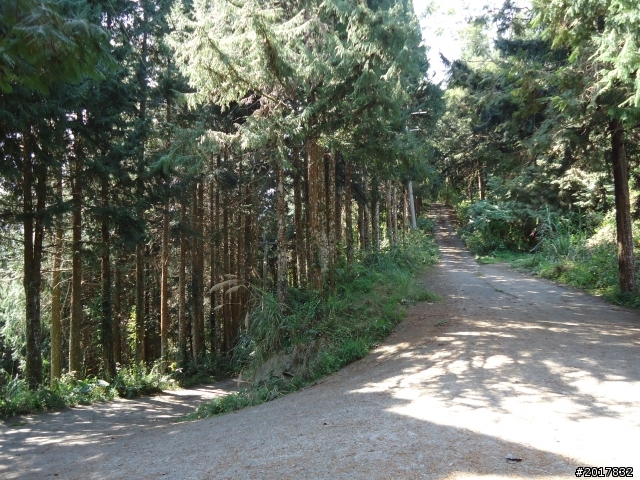 2012-3-5~3-6台21線部落之旅(麟趾山-望美山)馬奴多斯獵人古道