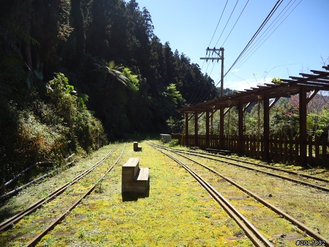 2012-3-5~3-6台21線部落之旅(麟趾山-望美山)馬奴多斯獵人古道