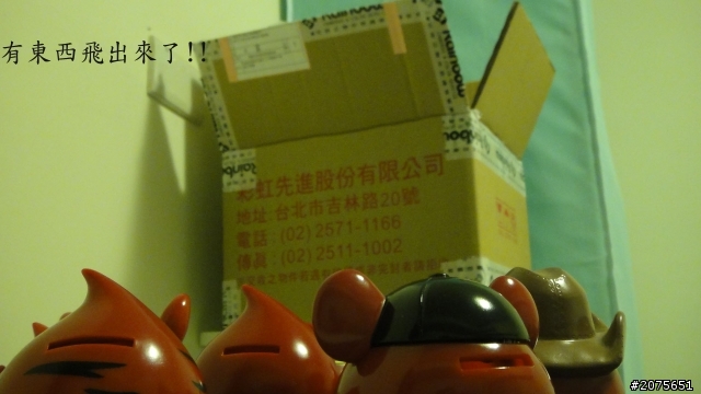 5D3(吳荻珊)之可愛開箱!來看看哦!
