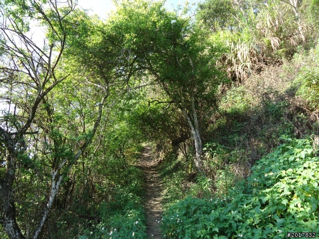 2012-3-5~3-6台21線部落之旅(麟趾山-望美山)馬奴多斯獵人古道