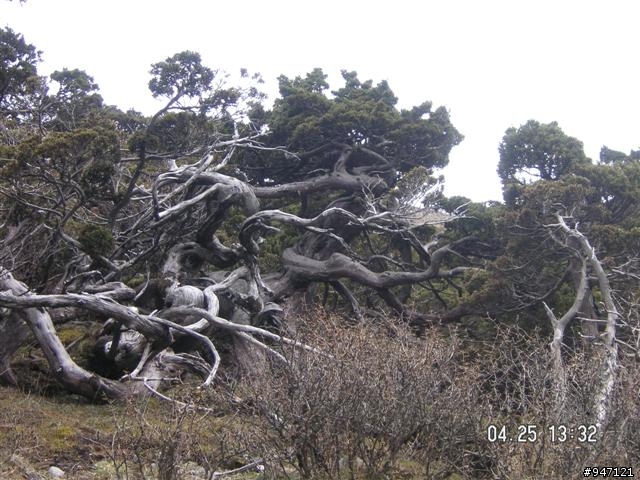 南湖大山第二集