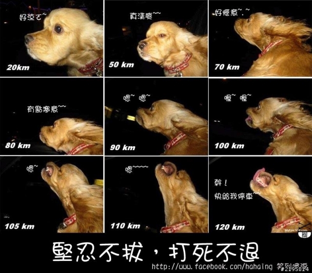快給我停車~~~!!!!!