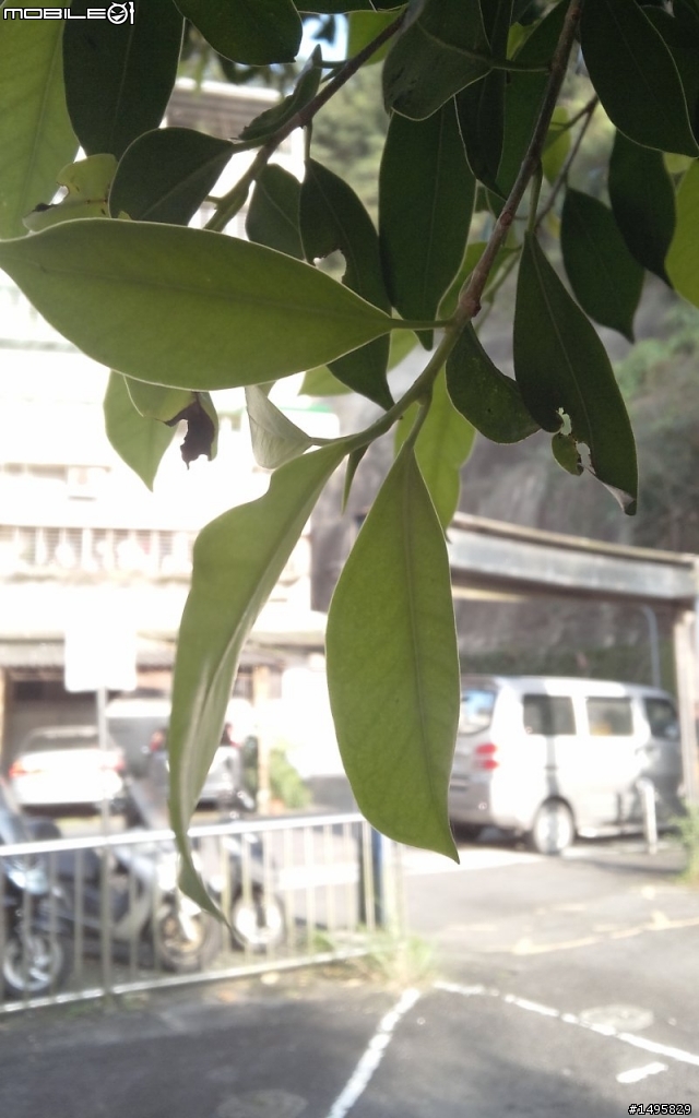 A820L~不專業開箱~(圖多慎入)