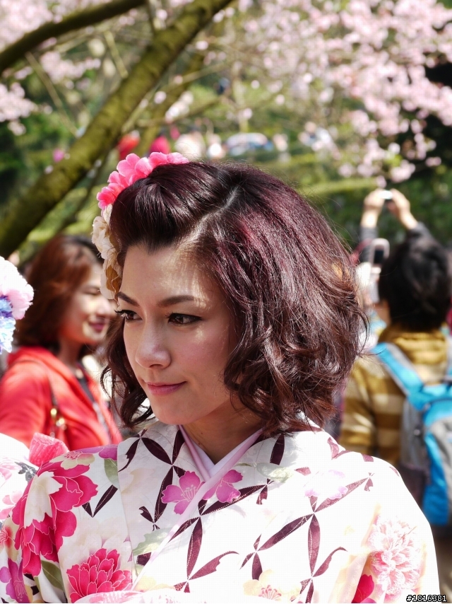 2012.03.15天元宮櫻花