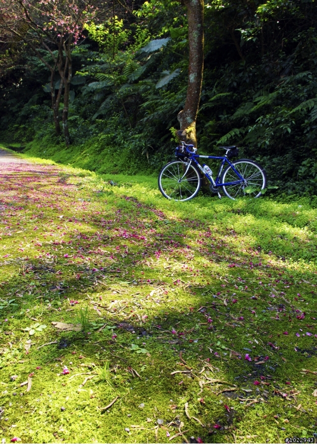 [ 寶島風情 ]  單車菁桐、平溪、汐平鐵道之旅