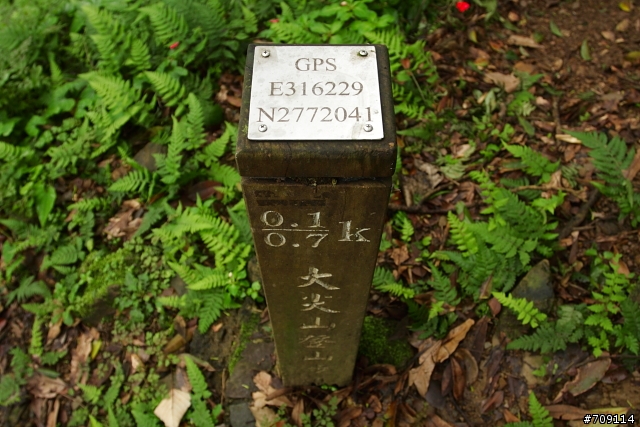 [ 郊山 ] 大尖山順走四分尾山之殘櫻行
