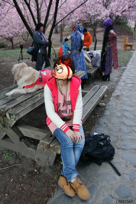 省道一姊奇幻之旅~櫻雪願望情人節一次滿足。