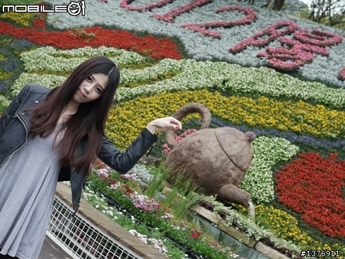陽明山花季賞花趣(感謝小郁同學伴遊)