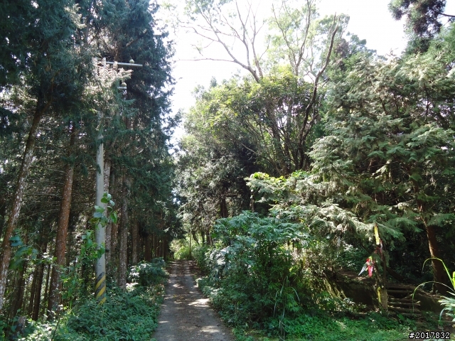 2012-3-5~3-6台21線部落之旅(麟趾山-望美山)馬奴多斯獵人古道