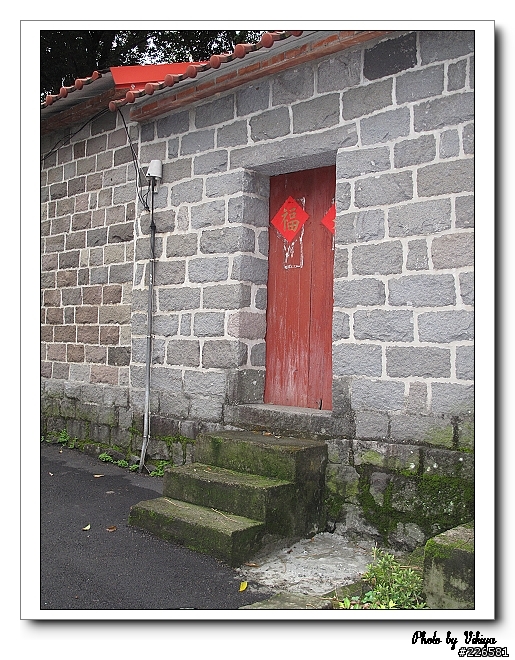北投大屯里復興三路櫻花之旅...殘念