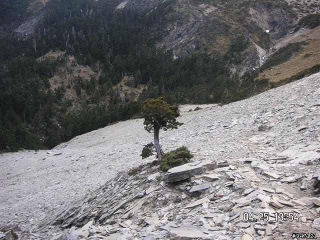 南湖大山第二集