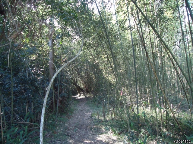 2012-3-5~3-6台21線部落之旅(麟趾山-望美山)馬奴多斯獵人古道