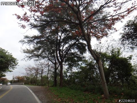 【分享】4天J-BUBU-S環全島完成!
