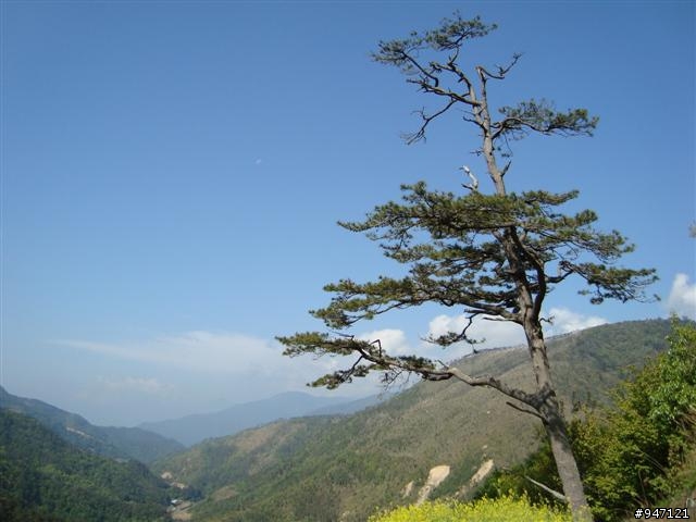 南湖大山第二集