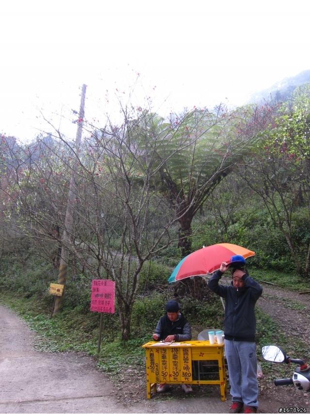 2月-屏東-瑪家鄉-桃花園(源)