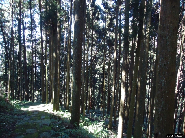 2012-3-5~3-6台21線部落之旅(麟趾山-望美山)馬奴多斯獵人古道