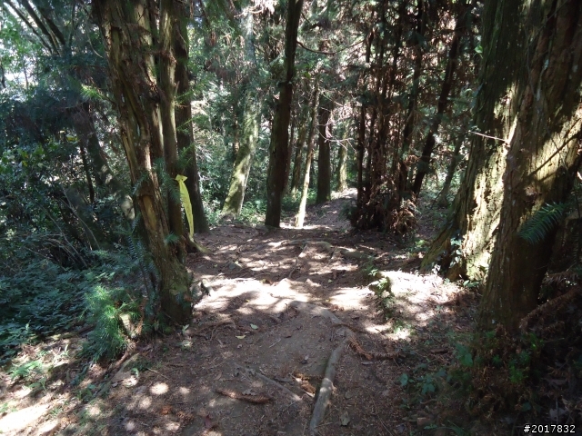 2012-3-5~3-6台21線部落之旅(麟趾山-望美山)馬奴多斯獵人古道