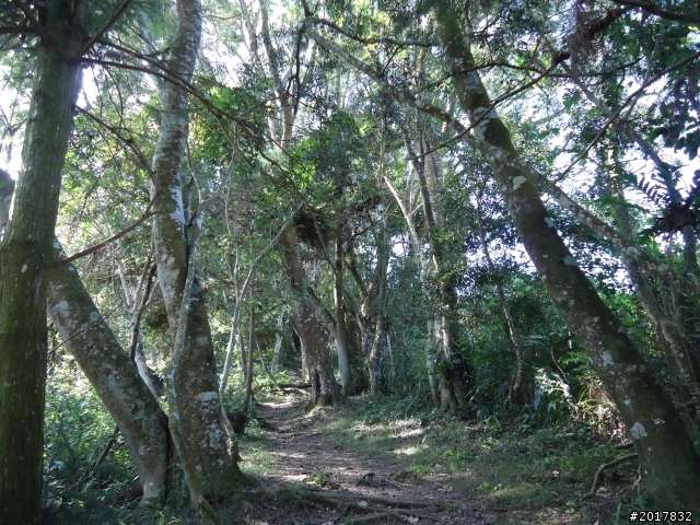 2012-3-5~3-6台21線部落之旅(麟趾山-望美山)馬奴多斯獵人古道