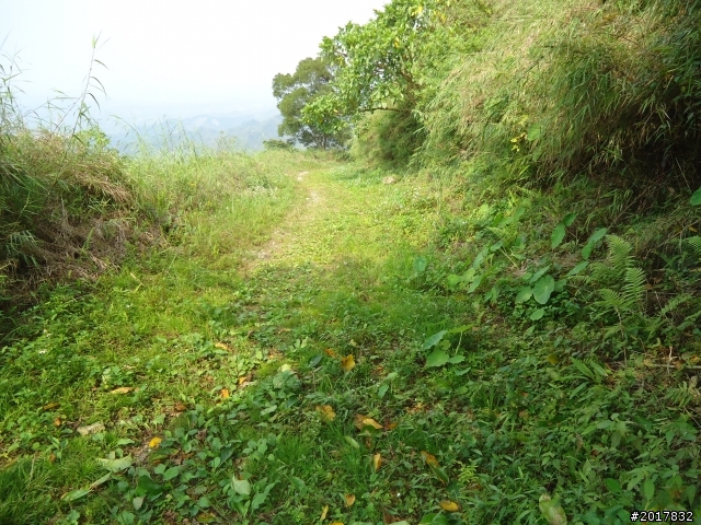 2012-3-16關仔嶺枕頭山