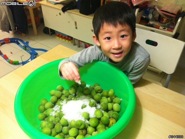 帥麒料理~要吃脆梅自己醃!